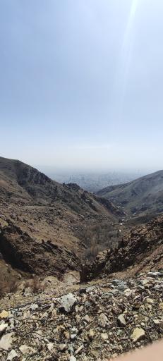 عکس ۲راهی شروین