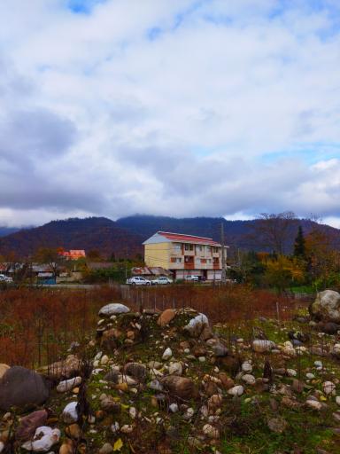 عکس هتل افرا و پالیز