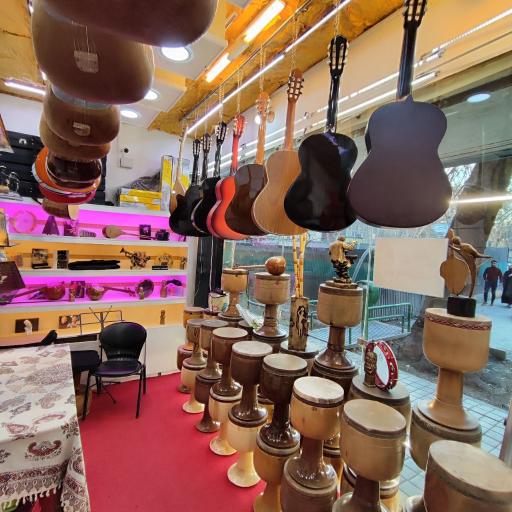 عکس گالری موسیقی نیلوفرانه