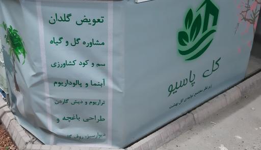 عکس گل پاسیو