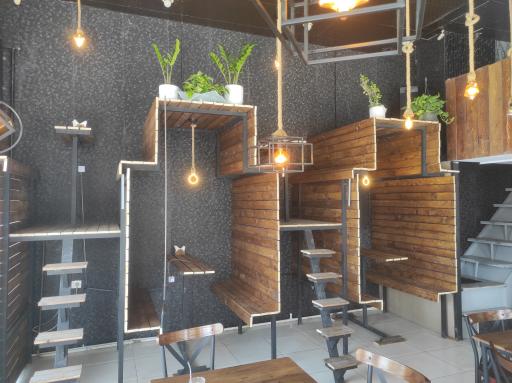 عکس کافه لاور (معشوق)