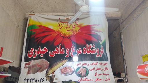 مرغ و ماهی حیدری