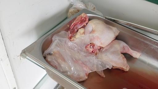 عکس مرغ و ماهی حیدری