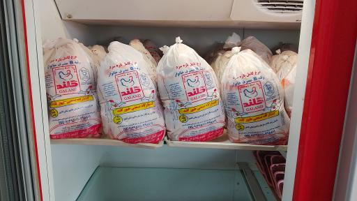 عکس مرغ و ماهی حیدری