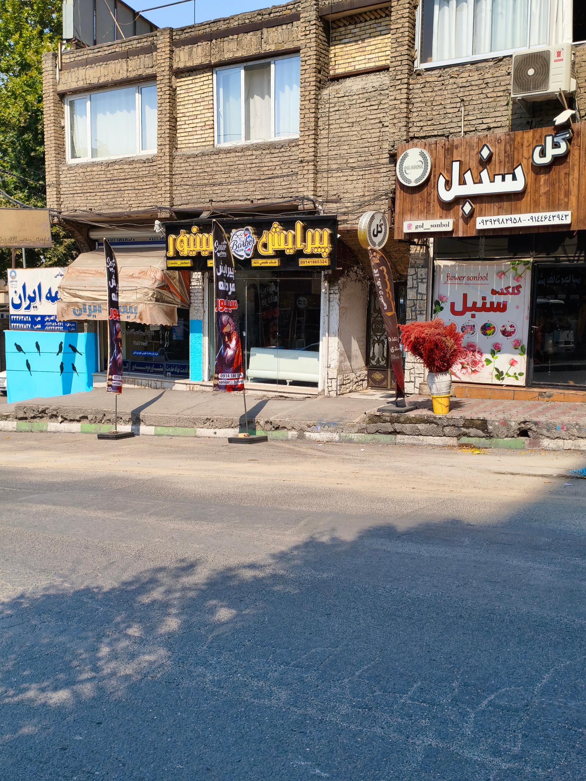 عکس پیرایش مردانه سینیور