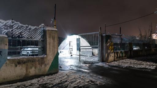 عکس گل پاسیو