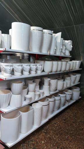 عکس گل پاسیو