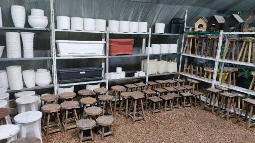 عکس گل پاسیو