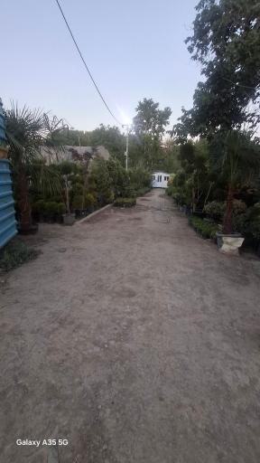 عکس نهالستان رویان