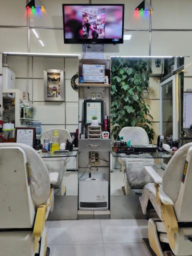 عکس آرایش نوربخش