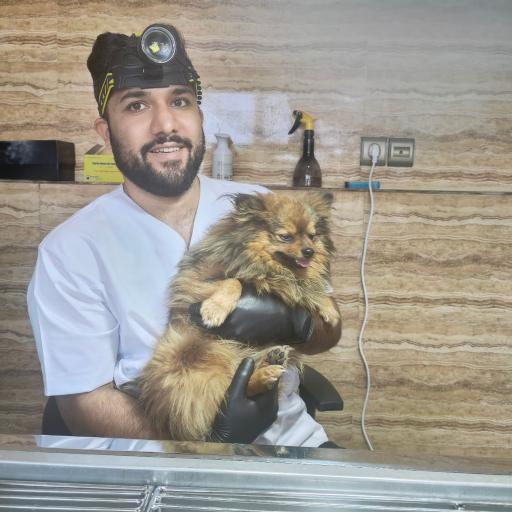 عکس دامپزشکی دکتر سلطانی