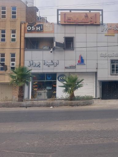 عکس اوشیدا پرواز