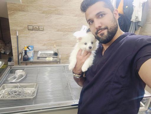 دامپزشکی دکتر سلطانی