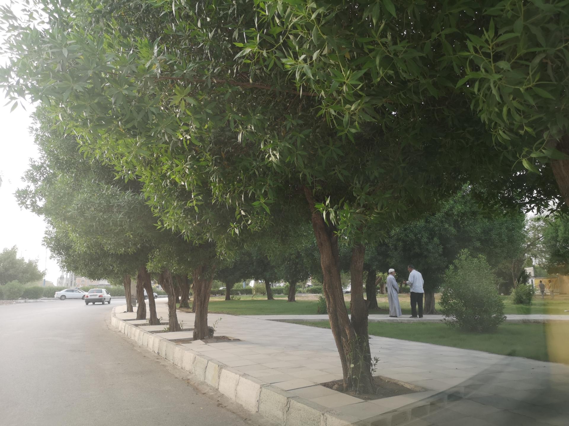 عکس پارک محله 