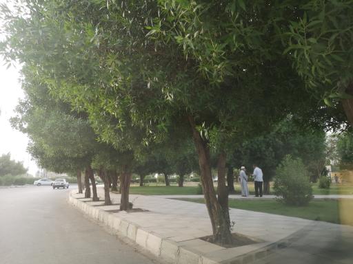 عکس پارک محله 