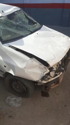 عکس صافکاری رضا عباسی