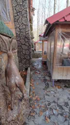 عکس رستوران ستاره قلات