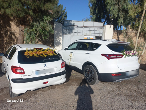 عکس عمارت ویان