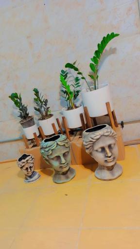 عکس گلخانه پیروزه 