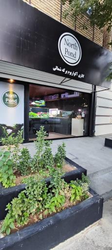 عکس آکواریوم برکه شمالی 