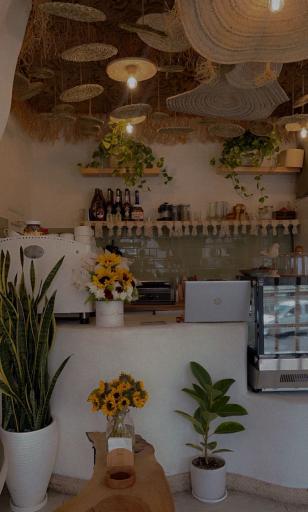 عکس کافه مُمِدْ