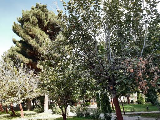 عکس هتل جهانگردی بسطام
