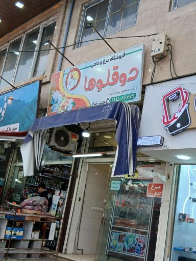 عکس فروشگاه مرغ و ماهی دوقلوها