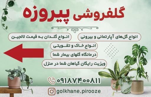 عکس گلخانه پیروزه 