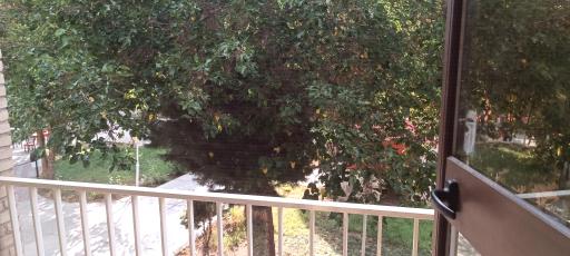 عکس هتل جهانگردی بسطام