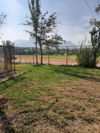 عکس زمین چمن شماره 1 دانشگاه اصفهان