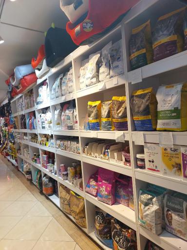 عکس آکواریوم پلانگتون