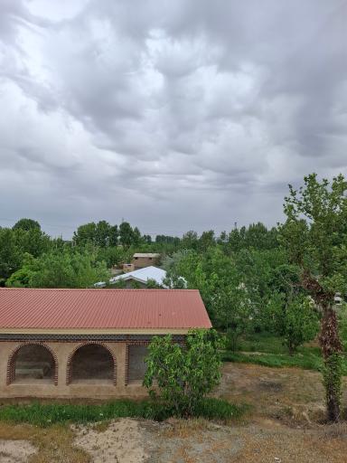 بی بی سکینه خاتون