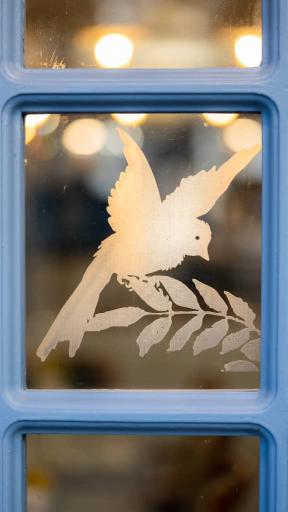 عکس بلو کوکوا