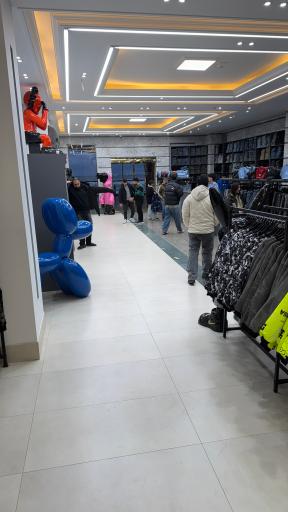 عکس ممفیس مازندران