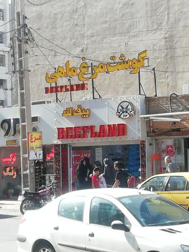 عکس سوپر گوشت مرغ و ماهی بیف لند