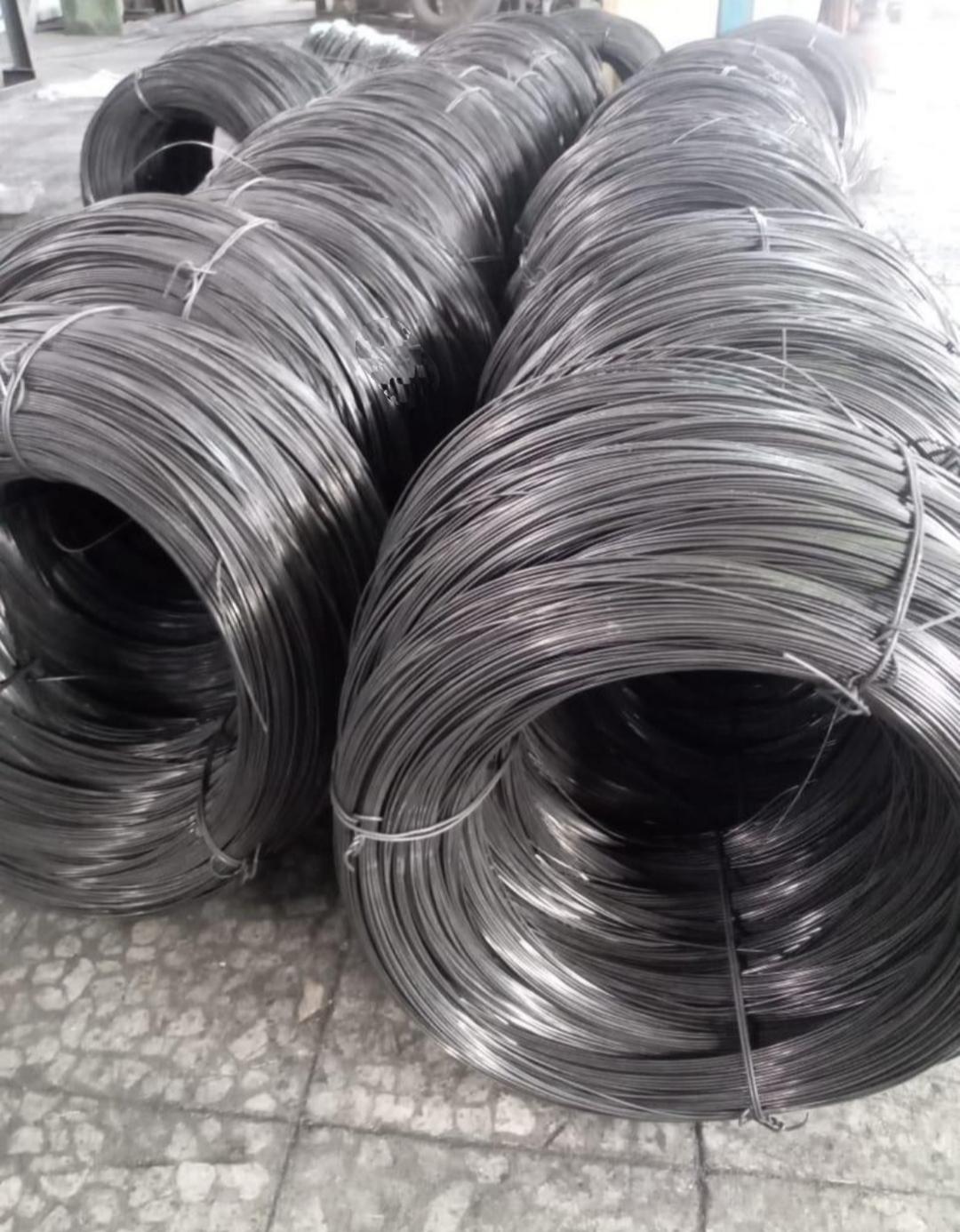 عکس مفتول باقری 