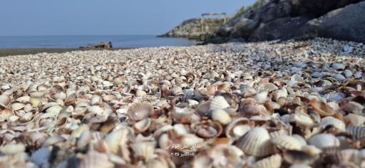 عکس ساحل کاسپین