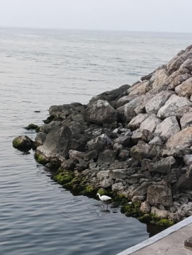 عکس ساحل کاسپین