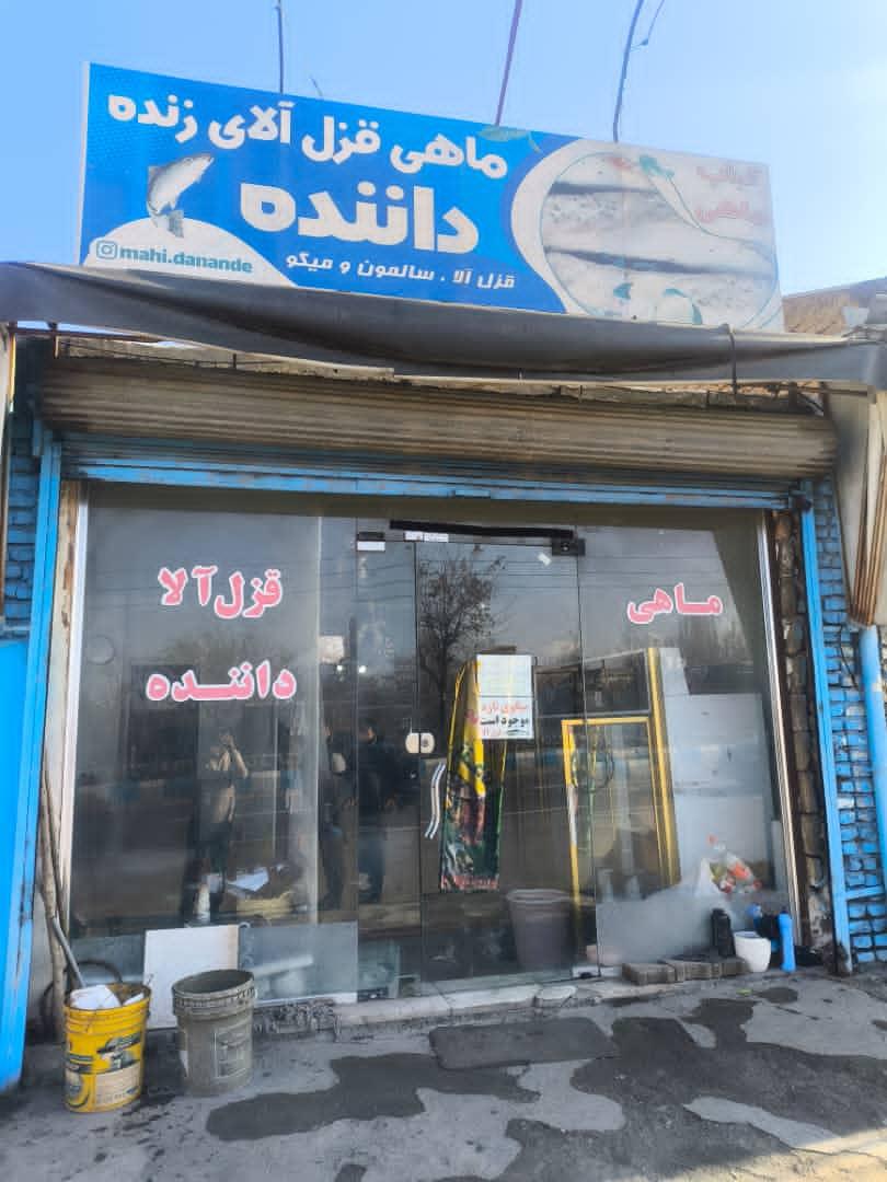 عکس فروشگاه ماهی داننده