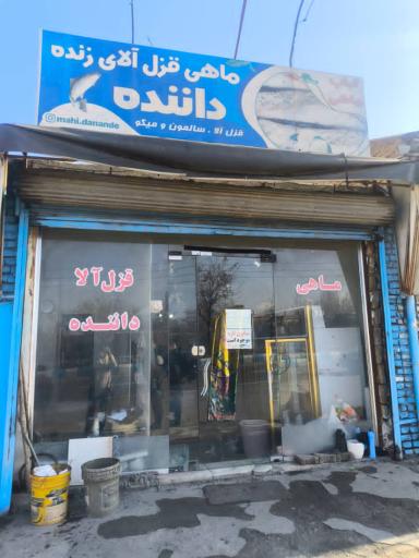 فروشگاه ماهی داننده
