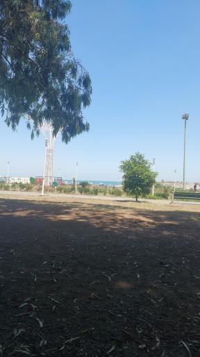 عکس ساحل کاسپین
