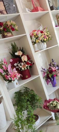 عکس گل آزالیا