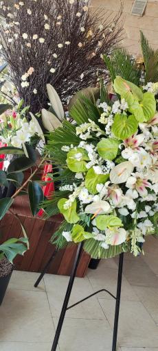 عکس گل آزالیا