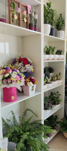 عکس گل آزالیا