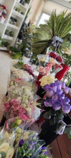 عکس گل آزالیا