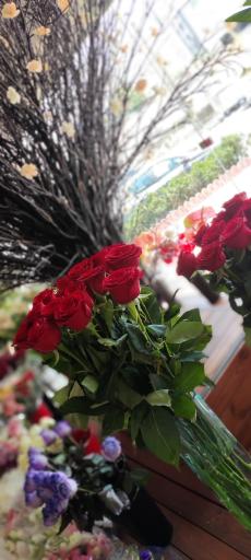 عکس گل آزالیا