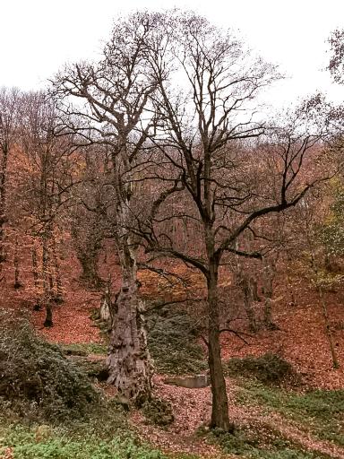 عکس چشمه بزلا