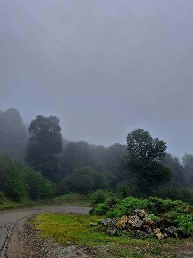 عکس چشمه بزلا