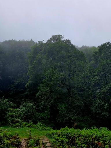 عکس چشمه بزلا