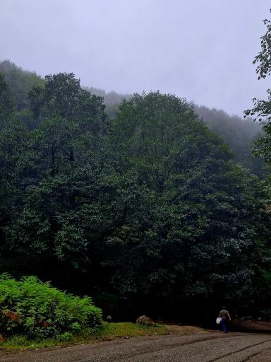 عکس چشمه بزلا